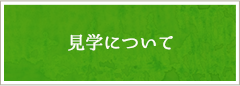 見学について